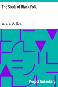 AI Voice AudioBook: The Souls of Black Folk by W. E. B. Du Bois